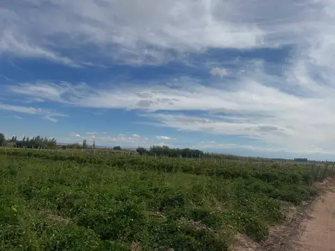 Terreno en Venta 165  mts Fondo
