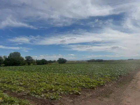 Terreno en Venta en Barrancas, USD 120.000