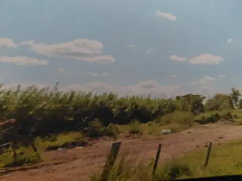 Campo en Venta de 86  ha