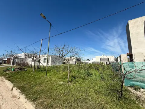 11 e/ 456 Y 457