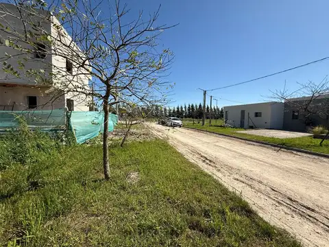 11 e/ 456 Y 457