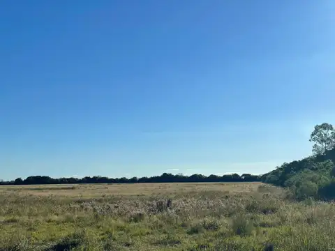 CAMPO AGRICOLA . SANTA FE -Colonia san Joaquin - Santa fe - San Javier  ZONA  RUTA 1
