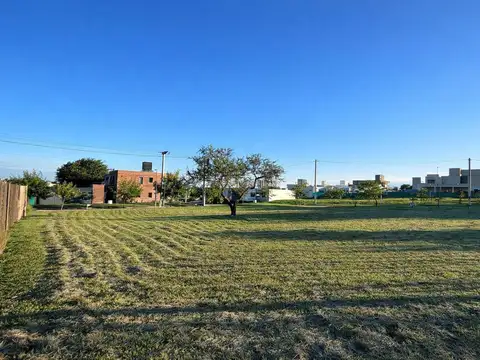 Terreno en Venta - Tejas 4
