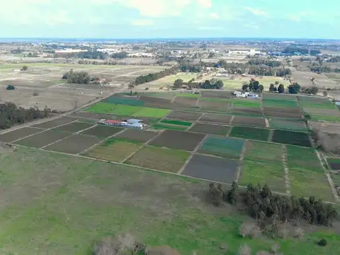 Venta campo de 7 Ha. en Camino Los Horneros