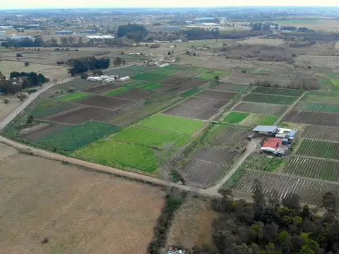 Camino de los Horneros