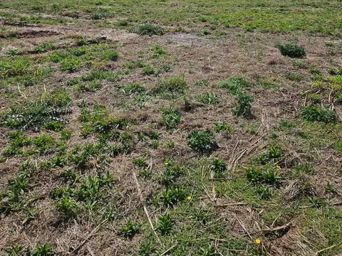 Terreno en Venta en Abras De Manantiales, USD 51.500