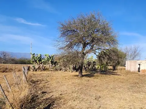 Campo de 35 Hectáreas en Ruta Nº148, Traslasierras