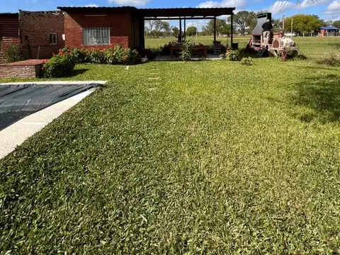 La Mansa