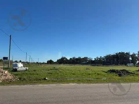Terreno en Venta 19  mts Fondo
