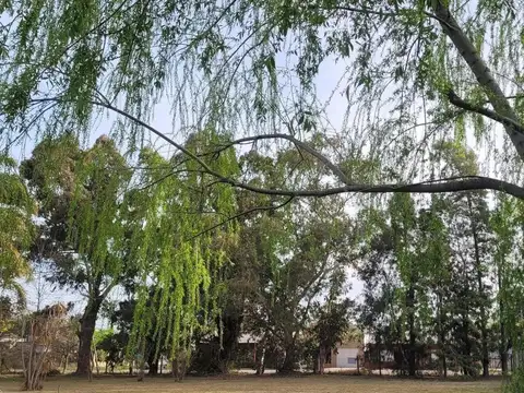 Venta de Lotes en Barrio la Dolly