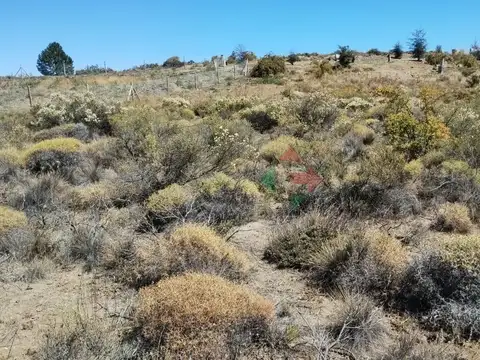 Barrancas de Dina Huapi