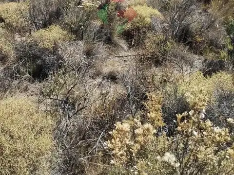 Terreno en Venta de 1030,0 m2