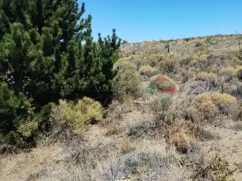 Venta Terreno en Barrancas Dina Huapi  - NUEVO VALOR DE OPORTUNIDAD!