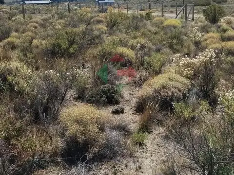 Venta Terreno en Barrancas Dina Huapi  - NUEVO VALOR DE OPORTUNIDAD!