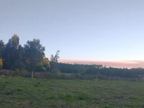 Amplio Terreno