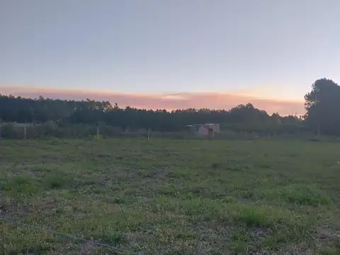 Terreno en Venta de 3100,0 m2