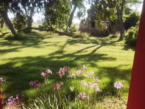 Camino Juan Manuel De Rosas