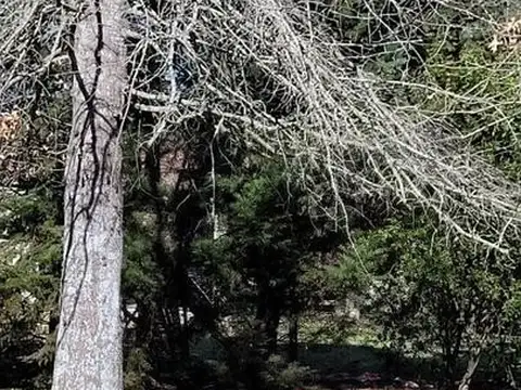 Barrio Cerrado Las Perdices