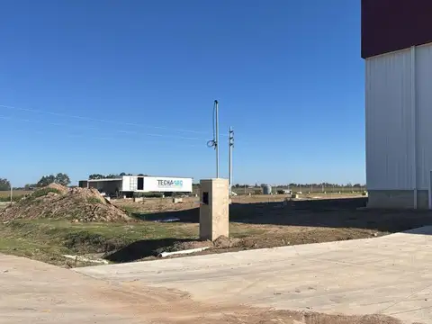 Local en Alquiler A Estrenar