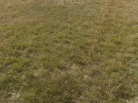 Terreno en Venta 12  mts Fondo