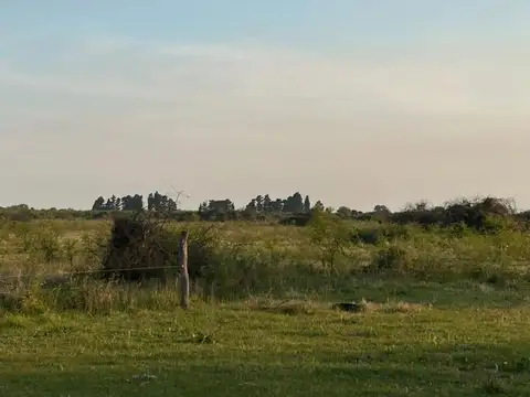 Campo GANADERO EN VENTA