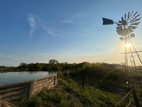 Campo GANADERO EN VENTA
