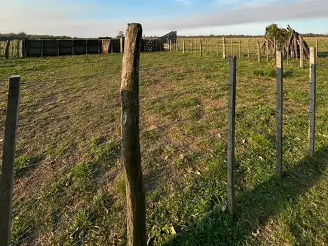 RUTA  11