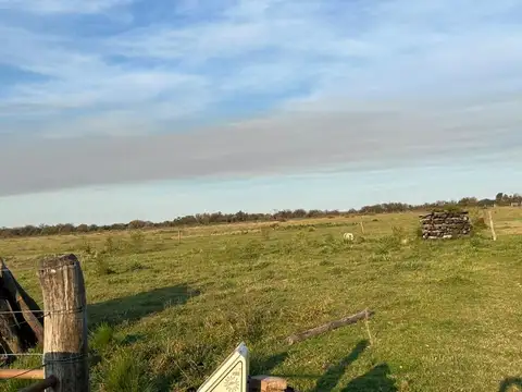 Campo GANADERO EN VENTA