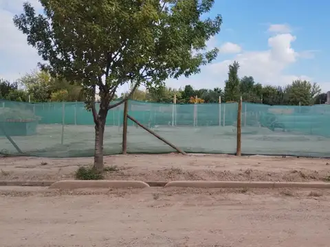 Terreno en Venta 33  mts Fondo