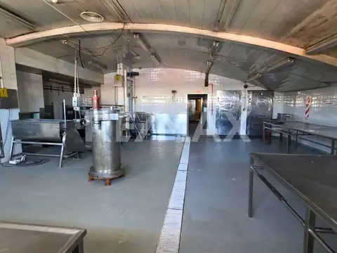 ALQUILER DE FRIGORÍFICO / DEPOSITO CON MAQUINARIAS