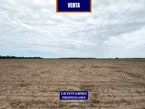 Venta Campo Agrícola 50 Hectáreas | Us$4.000/ha | India Muerta, Chaco (Zona Charata)