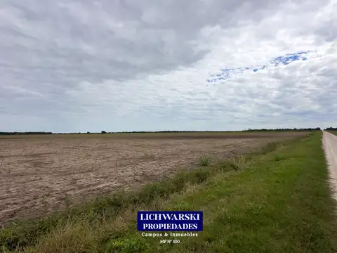 Venta Campo Agrícola 50 Hectáreas | Us$4.000/ha | India Muerta, Chaco (Zona Charata)