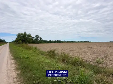 Campo en Venta Agrícola