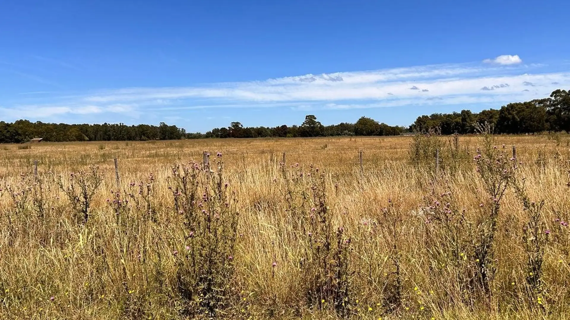 VENTA LOTE 3600M2 ESTACION CAMET, LA TRINIDAD