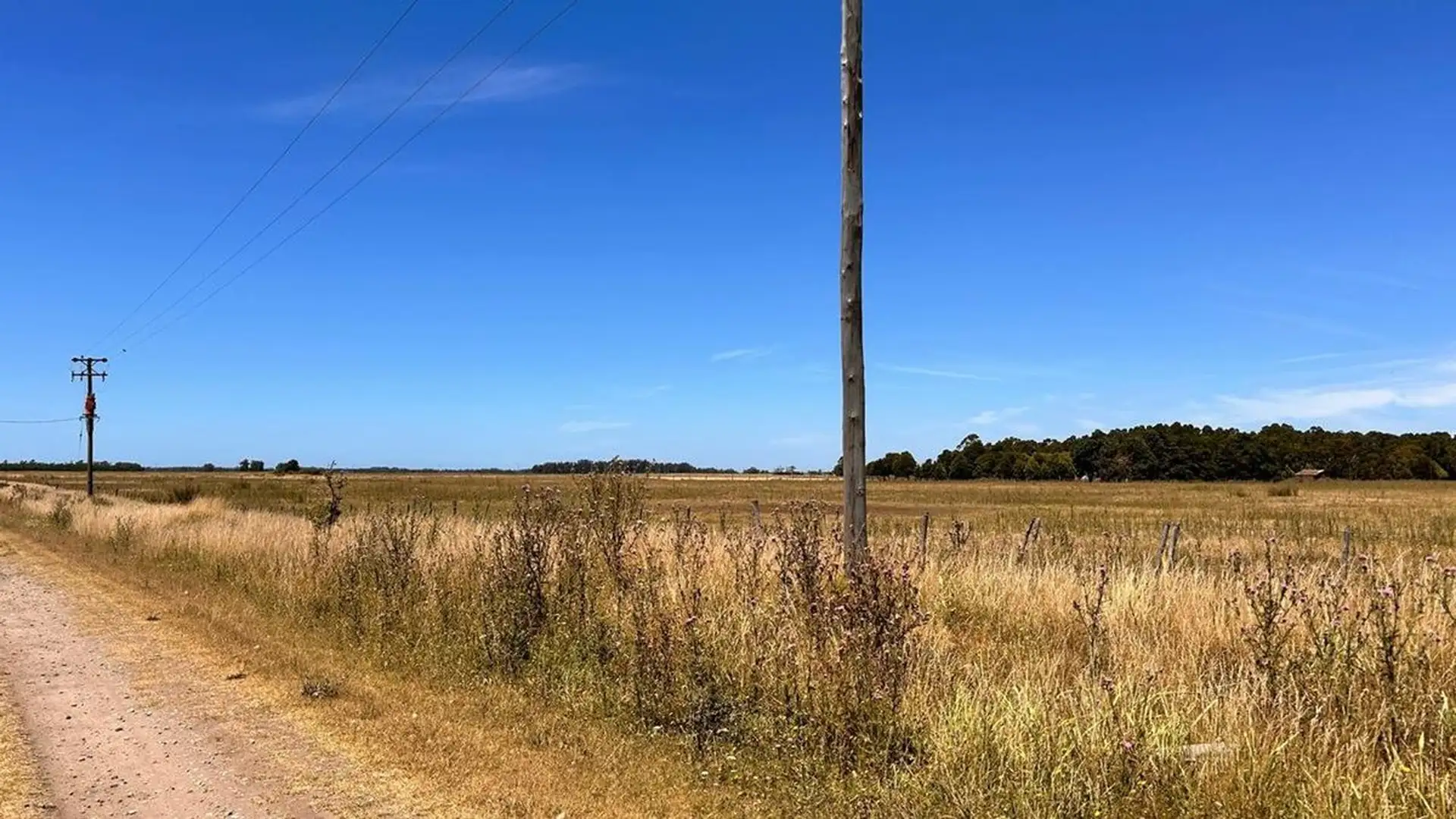 VENTA LOTE 3600M2 ESTACION CAMET, LA TRINIDAD