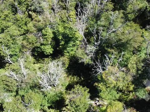 VENTA TERRENO 1051 M2 - Bº KALEUCHE ALTO - SAN MARTIN DE LOS ANDES