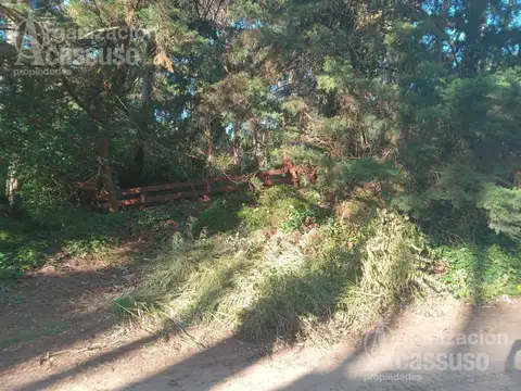 Terreno en  Cariló