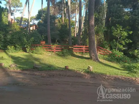 Avestruz al 1100 Cariló