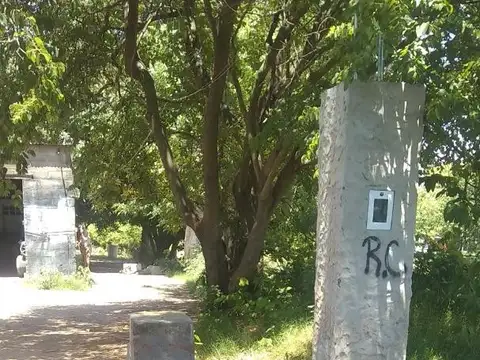 Blas Parera 1199