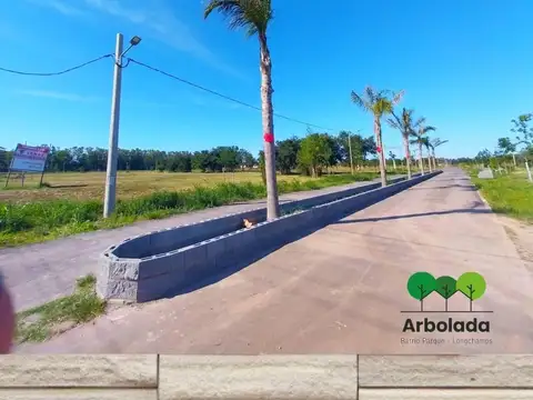 Terreno en Venta 12  mts Frente