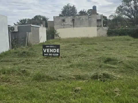 Terreno - Villa Amelia