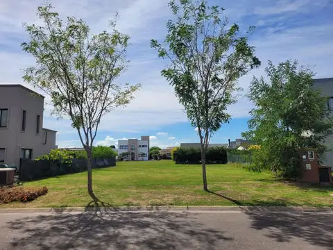 Terreno en San Ramon