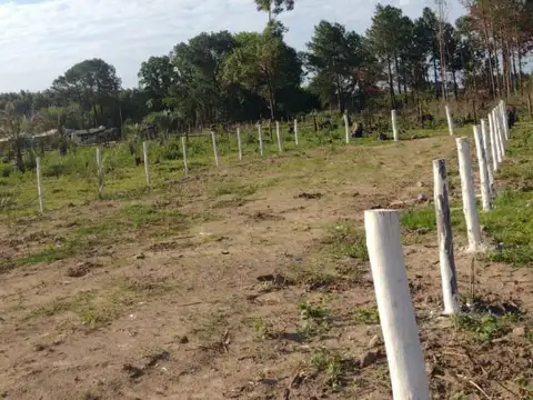 Terreno en Venta de 305,0 m2