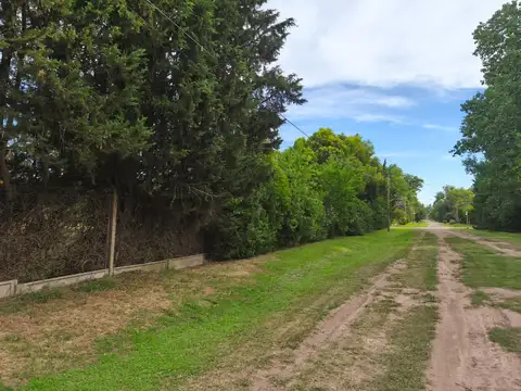 Famatina  y Tilcara - Cotos de la Alameda Lote 1