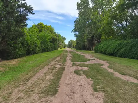 TERRENO - ROLDAN -  COTOS DE LA ALAMEDA