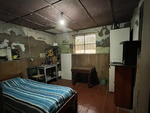 Tomas Polito 100