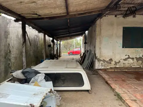 Tomas Polito 100