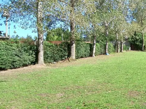 Quinta en Venta en Virrey del Pino, USD 43.000