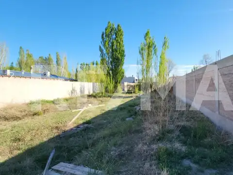 Terreno en Alquiler en Plottier, USD 1.600