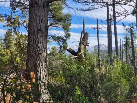 Terreno en Venta en San Carlos de Bariloche, Bariloche